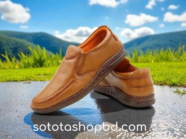 Premium Leather Sacchi shoes